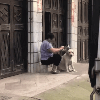 狗狗: 奶奶我真的吃饱了！ 奶奶: 不你没有，最后一口！张嘴！爆笑gif搞笑图片