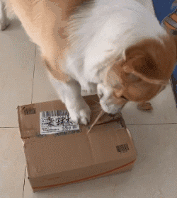 我怀疑你们对我好其实是在利用我，太难了爆笑gif搞笑图片