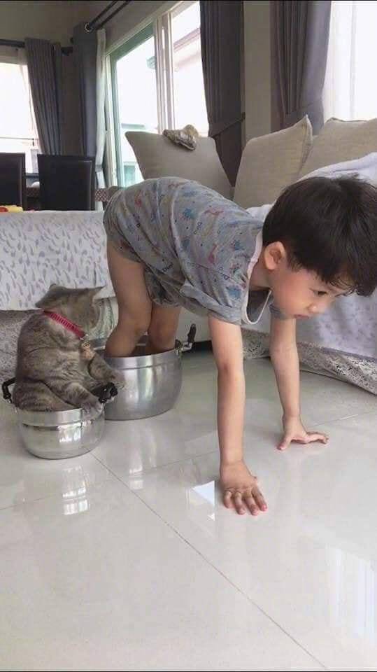 哈哈哈哈哈哈，这小眼神！爆笑gif搞笑图片