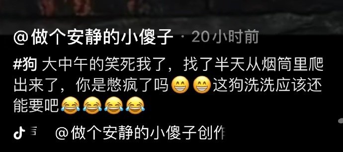 我踏🐴笑疯了爆笑gif搞笑图片