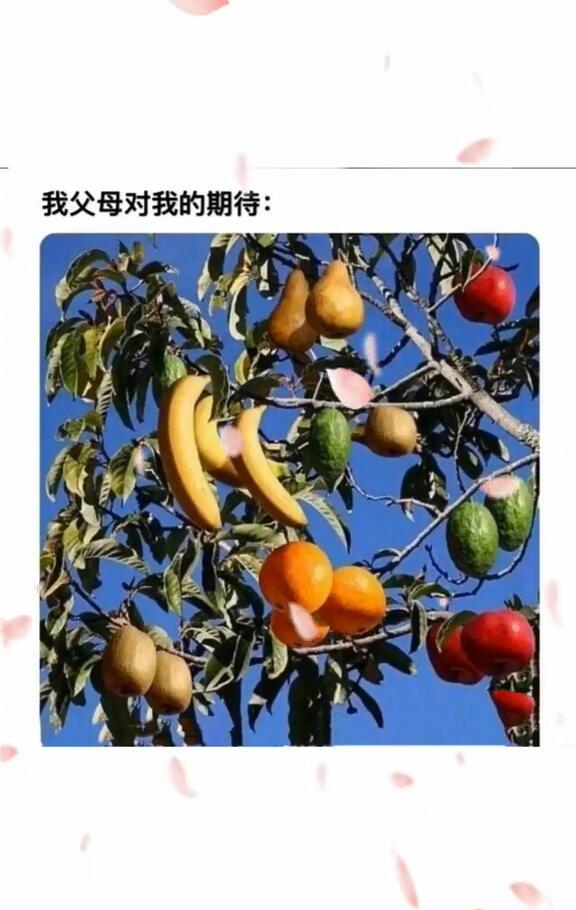 太形象了爆笑gif搞笑图片