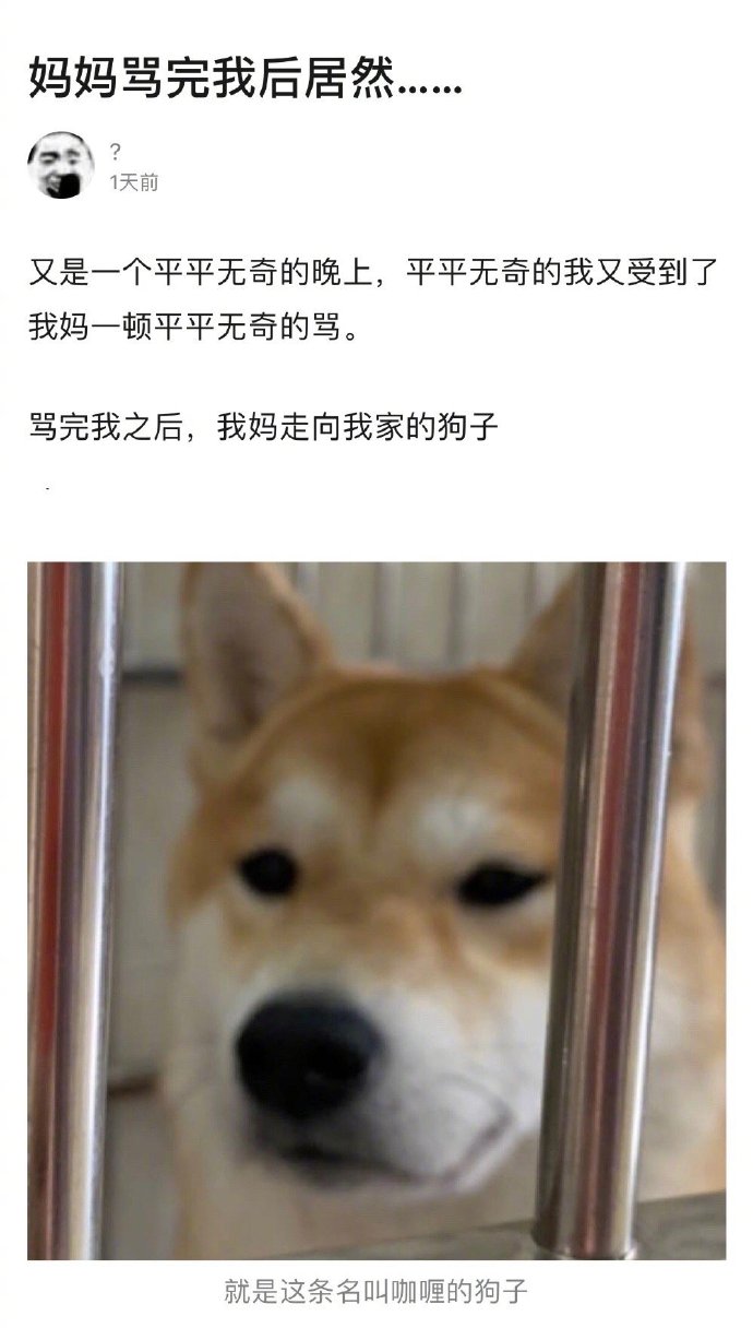 哈哈哈哈哈哈哈哈没想到吧爆笑gif搞笑图片