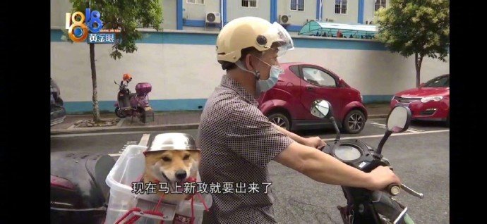 安全意识很强阿爆笑gif搞笑图片