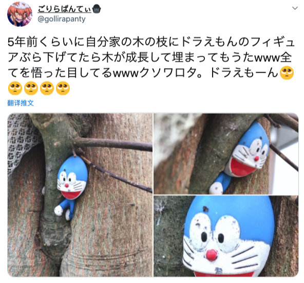 网友5年前左右，在自己家的树枝上挂着哆啦A梦的手办，随着树逐渐爆笑gif搞笑图片