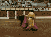 我现在好尴尬，我该怎么办爆笑gif搞笑图片