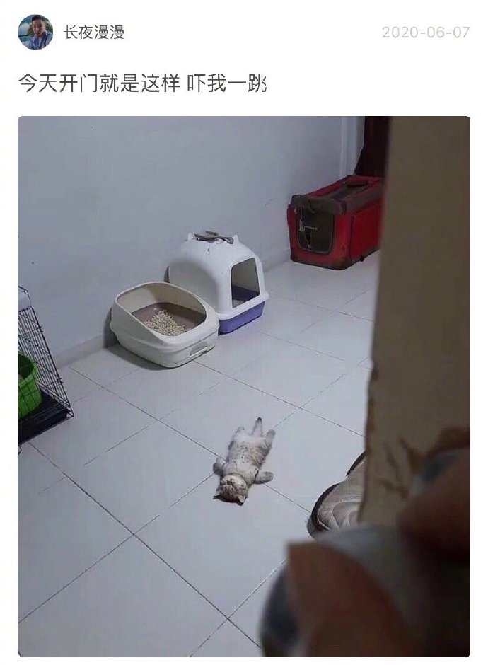 我只是累了爆笑gif搞笑图片