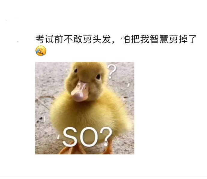哈哈考试前我还不敢洗头发，我怕把我的知识洗掉了爆笑gif搞笑图片