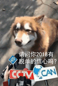 请问你2020有脱单的信心吗爆笑gif搞笑图片