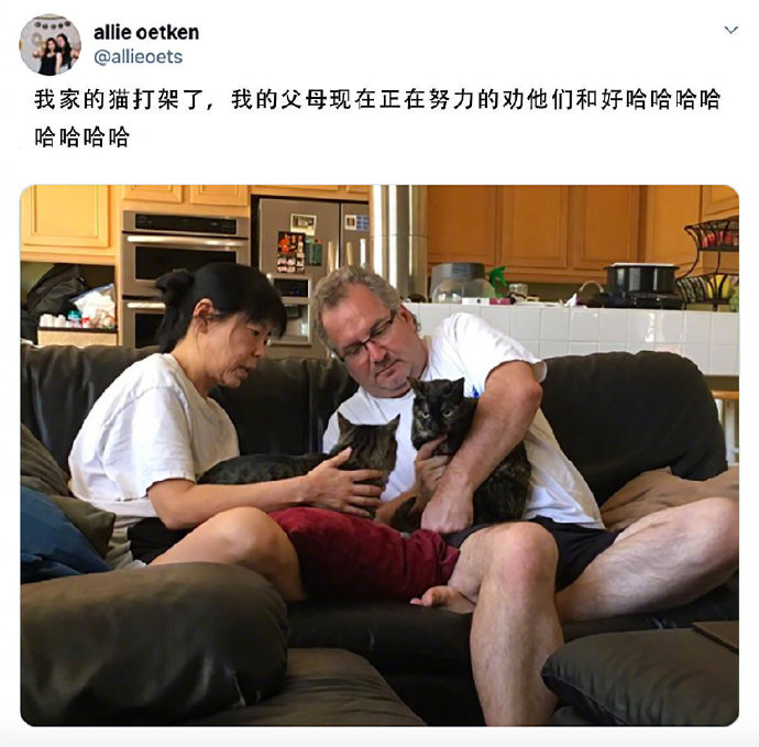 看得出来猫猫还在气头上爆笑gif搞笑图片