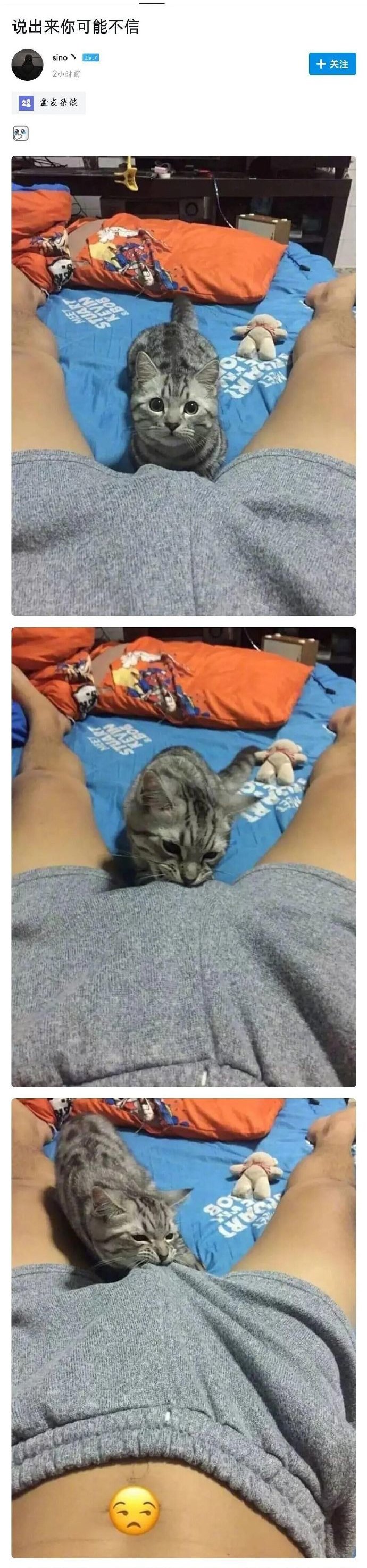 是不是闻到小鱼干的味道了？爆笑gif搞笑图片