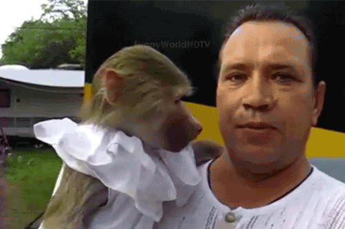 来，笑一个爆笑gif搞笑图片