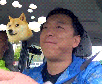 相似度，百分之百爆笑gif搞笑图片