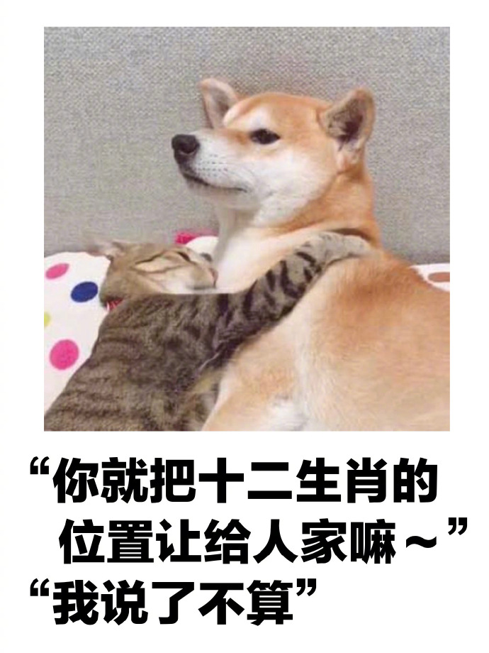 你就把十二生肖的位置让给人家嘛爆笑gif搞笑图片