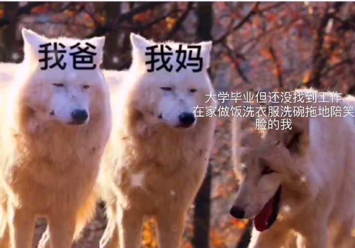 人间真实爆笑gif搞笑图片