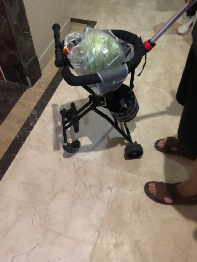 一个戴金项链的光头大哥推着个推车 定睛一看？？？？西瓜？爆笑gif搞笑图片