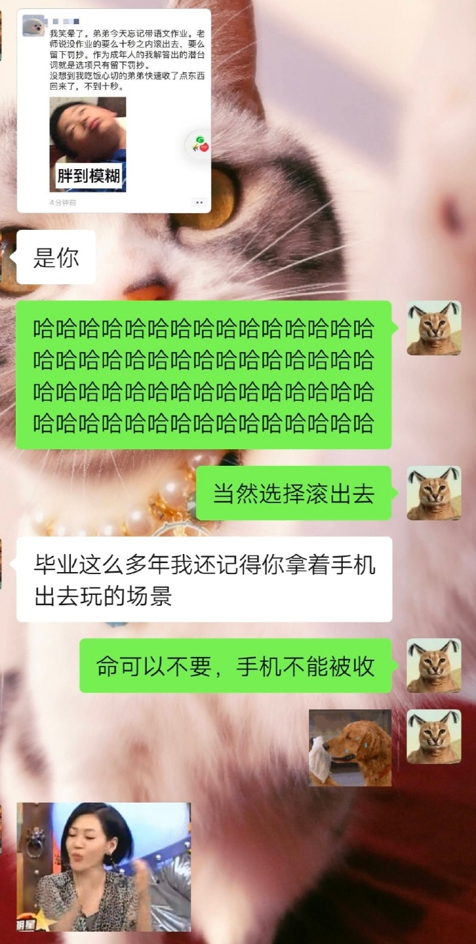 没事讲个笑话，我读书的时候，有一次上课玩手机被班主任出警，班爆笑gif搞笑图片