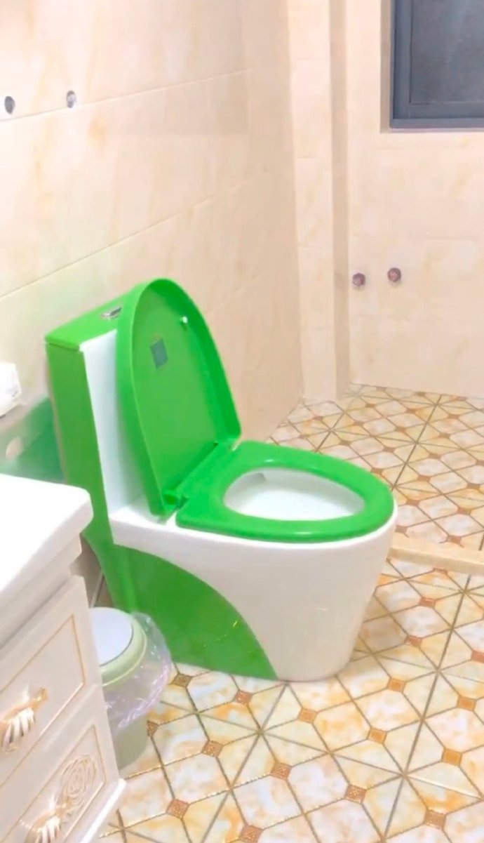 活了20几年第一次见白色以外的马桶爆笑gif搞笑图片