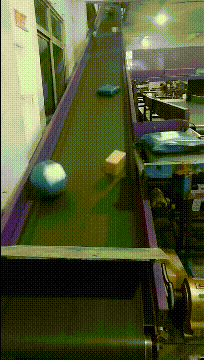 我终于知道我双十一买的篮球为什么还没到了爆笑gif搞笑图片