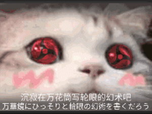猫咪写轮眼特效：沉寂在万花筒写轮眼的幻术吧动图gifDIY斗图gif搞笑图片