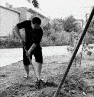 淡了_感情都淡了_埋了吧恶搞动图DIY斗图gif搞笑图片