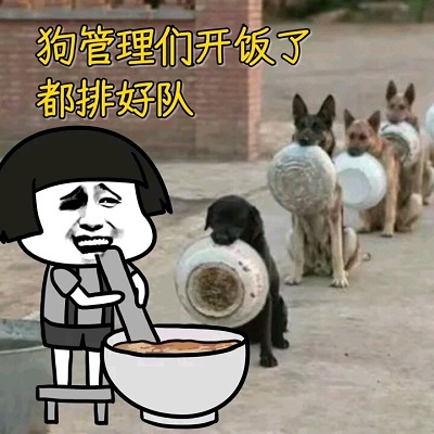 蘑菇头给狗狗们喂饭：狗管理们开饭了，都排好队DIY斗图gif搞笑图片