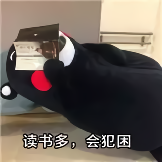 熊本熊拿书遮着脸：读书多，会犯困DIY斗图gif搞笑图片