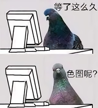 鸟喙在屏幕前：等了这么久，色图呢？DIY斗图gif搞笑图片