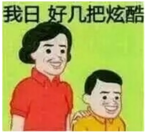 母子俩惊叹道：我日，好几把酷炫DIY斗图gif搞笑图片