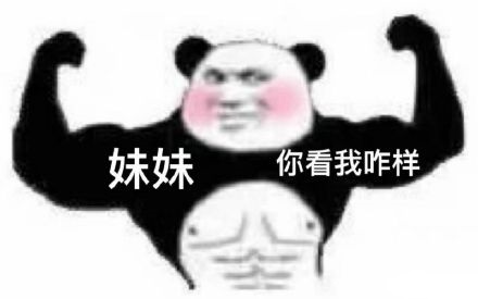 肌肉男熊猫头：妹妹，你看我咋样DIY斗图gif搞笑图片