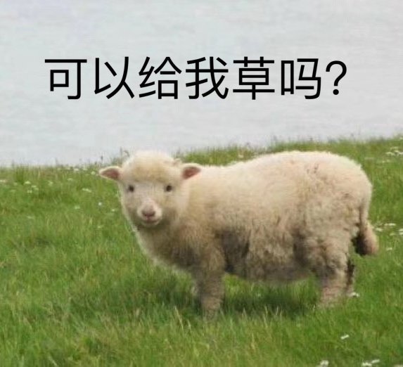 羊羊羊：可以给我草吗？（暗示）DIY斗图gif搞笑图片