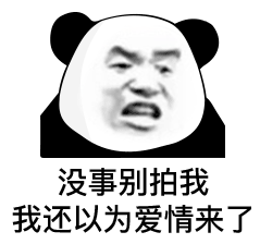 熊猫头生气：没事别拍我，我还以为爱情来了DIY斗图gif搞笑图片
