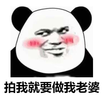 熊猫头红着脸：拍我就要做我老婆DIY斗图gif搞笑图片