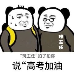 熊猫头班主任拍了拍你：高考加油DIY斗图gif搞笑图片