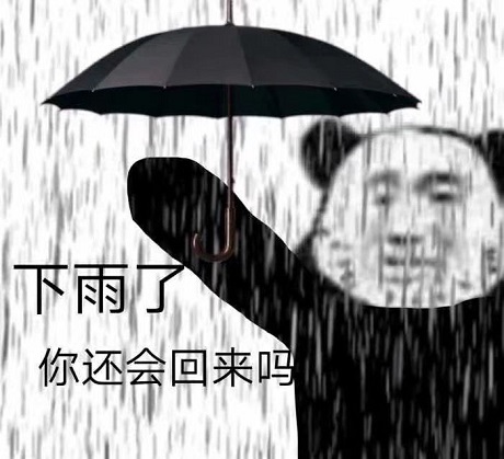 熊猫头大雨中流泪打伞：下雨了，你还会回来吗DIY斗图gif搞笑图片