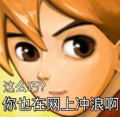 这么巧？你也在网上冲浪啊DIY斗图gif搞笑图片