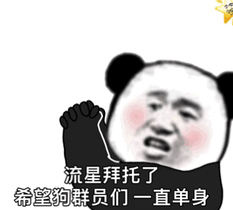 熊猫头许愿：流星拜托了，希望狗群员们一直单身DIY斗图gif搞笑图片