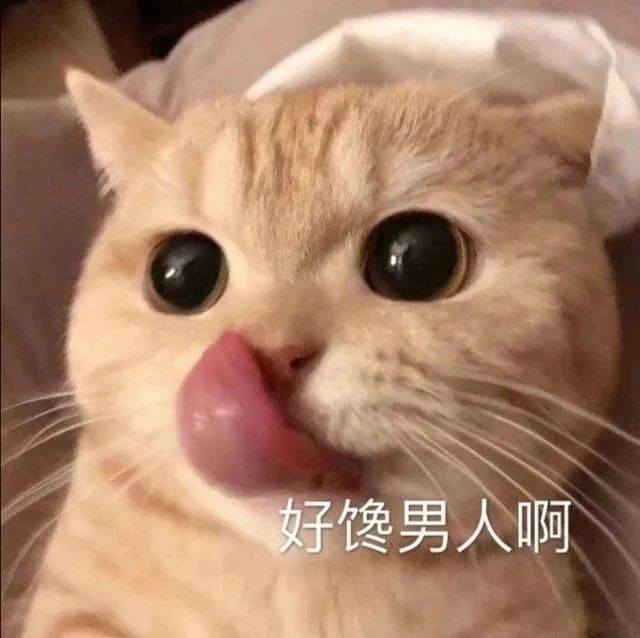 猫咪舔嘴：好馋男人啊DIY斗图gif搞笑图片