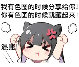 混账！我有色图的时候分享给你！你有色图的时候就藏起来！DIY斗图gif搞笑图片