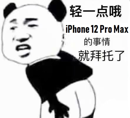 轻一点哦_iPhone__Pro_Max的事情就拜托了DIY斗图gif搞笑图片