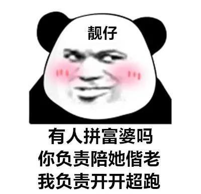 靓仔熊猫头：有人拼富婆吗_你负责陪她偕老_我负责开超跑DIY斗图gif搞笑图片