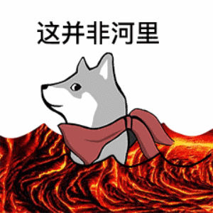 谐音表情_这并非河里（合理）DIY斗图gif搞笑图片