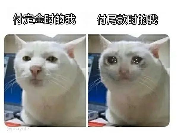 流泪伤心猫：双十一付定金时的你_付尾款的你DIY斗图gif搞笑图片