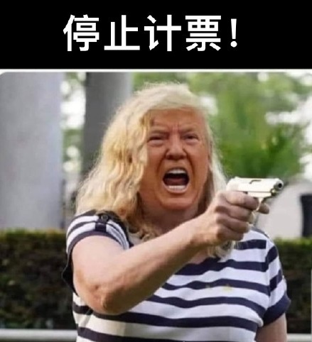 特朗普愤怒的拿着枪：大选停止计票DIY斗图gif搞笑图片