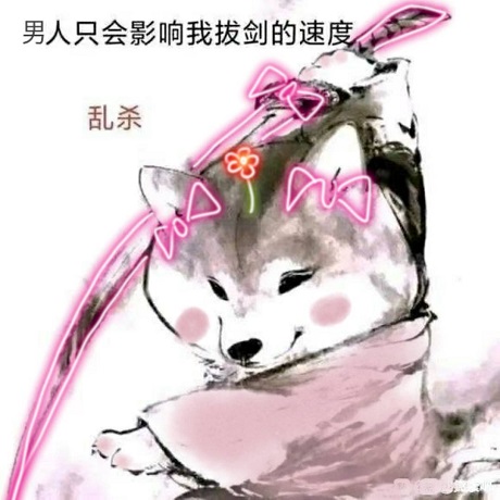 美女柴犬乱杀：男人只会影响我拔剑的速度DIY斗图gif搞笑图片