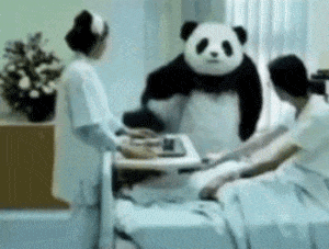 熊猫头拔掉吊水：别治了别治了_给爷死DIY斗图gif搞笑图片