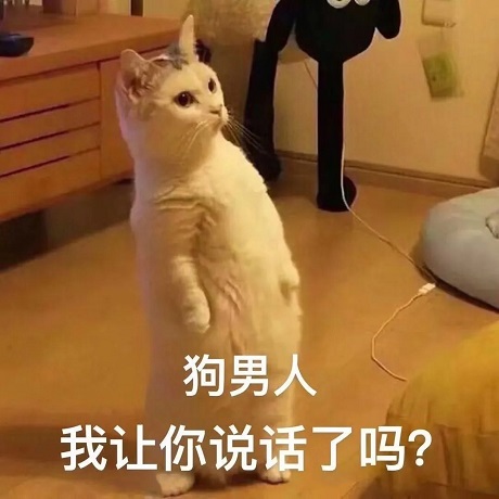 猫咪：狗男人_我让你说话了吗DIY斗图gif搞笑图片