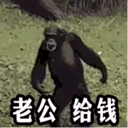 黑猩猩伸手要钱GIF动图：老公给钱DIY斗图gif搞笑图片
