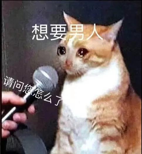 采访哭哭猫：请问你怎么了。想要男人DIY斗图gif搞笑图片