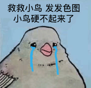 小鸟流泪：救救小鸟_发发涩图_小鸟硬不起来了DIY斗图gif搞笑图片