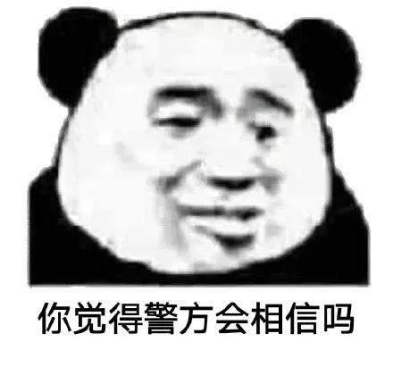 熊猫头：你觉得警察会相信吗DIY斗图gif搞笑图片